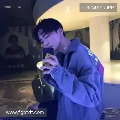 赵鸽